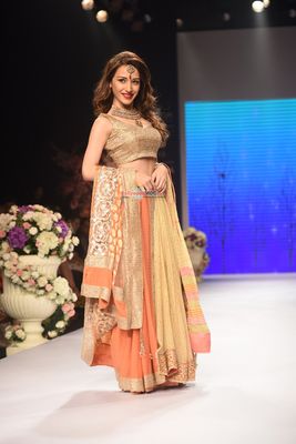 Bollywood & Television celebs walk for designer Shaina NC at IIJW 2015