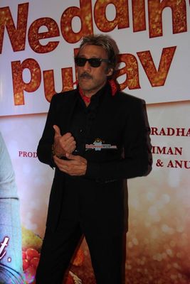 Bollywood Celebs at the Trailer Launch of Film 'Wedding Pullav'
