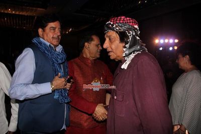 Bollywood Celebs at the Trailer Launch of Film 'Wedding Pullav'