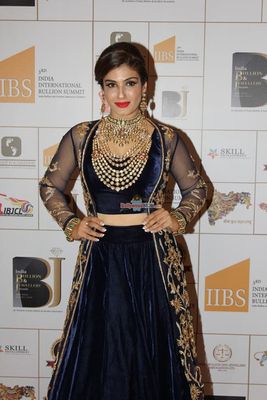 Sunny Leone, Anil Kapoor, Raveena Tandon, Vidyut Jamwal at the India Bullion and Jewellery Awards 2015