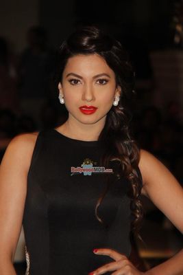 Bollywood Celebs at the 60th Britannia Filmfare Awards 2014