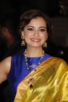 Bollywood Celebs at the 60th Britannia Filmfare Awards 2014