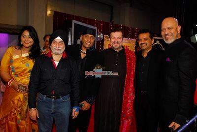 Bollywood and Music Industry Celebs at the 'Global Indian Music Awards' 2015