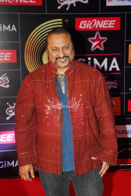 Bollywood and Music Industry Celebs at the 'Global Indian Music Awards' 2015