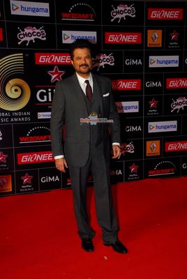 Bollywood and Music Industry Celebs at the 'Global Indian Music Awards' 2015