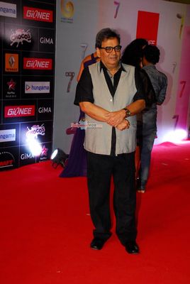 Bollywood and Music Industry Celebs at the 'Global Indian Music Awards' 2015