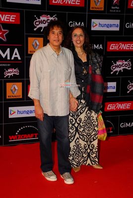Bollywood and Music Industry Celebs at the 'Global Indian Music Awards' 2015