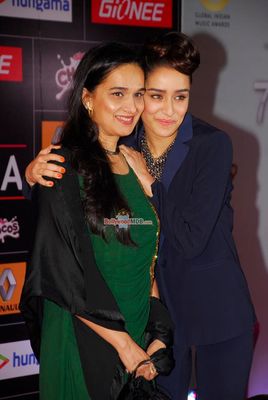 Bollywood and Music Industry Celebs at the 'Global Indian Music Awards' 2015