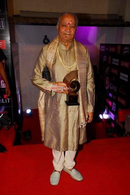 Bollywood and Music Industry Celebs at the 'Global Indian Music Awards' 2015