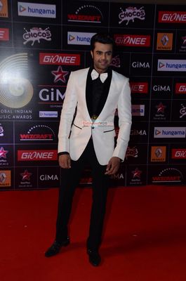 Bollywood and Music Industry Celebs at the 'Global Indian Music Awards' 2015