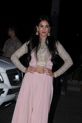 Bollywood Celebrities at the Wedding Reception Of Tulsi Kumar