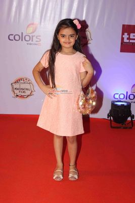 Bolly & TV Celebs at the 'Television Style Awards 2015' in Mumbai