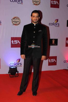 Bolly & TV Celebs at the 'Television Style Awards 2015' in Mumbai