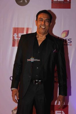 Bolly & TV Celebs at the 'Television Style Awards 2015' in Mumbai