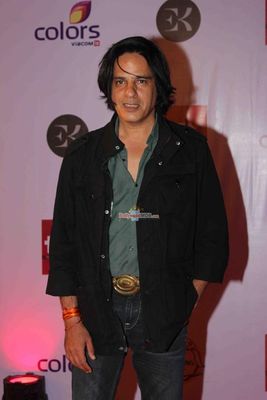 Bolly & TV Celebs at the 'Television Style Awards 2015' in Mumbai