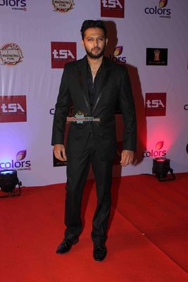Bolly & TV Celebs at the 'Television Style Awards 2015' in Mumbai