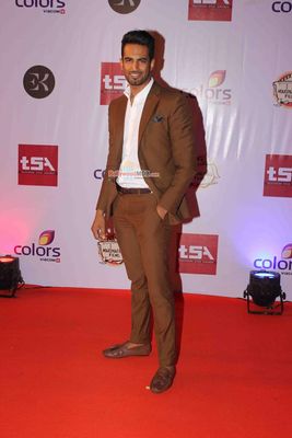 Bolly & TV Celebs at the 'Television Style Awards 2015' in Mumbai