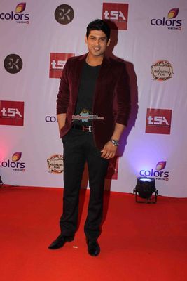 Bolly & TV Celebs at the 'Television Style Awards 2015' in Mumbai