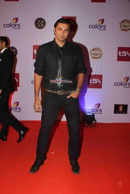 Bolly & TV Celebs at the 'Television Style Awards 2015' in Mumbai