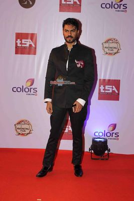 Bolly & TV Celebs at the 'Television Style Awards 2015' in Mumbai