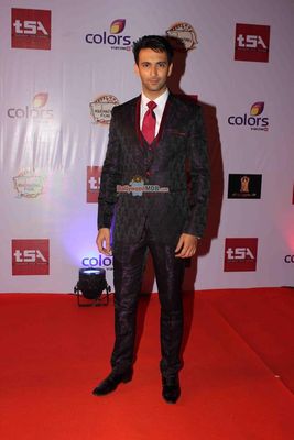 Bolly & TV Celebs at the 'Television Style Awards 2015' in Mumbai