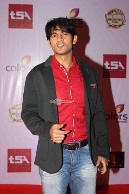 Bolly & TV Celebs at the 'Television Style Awards 2015' in Mumbai