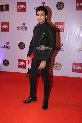 Bolly & TV Celebs at the 'Television Style Awards 2015' in Mumbai