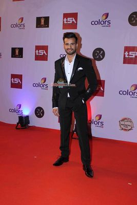 Bolly & TV Celebs at the 'Television Style Awards 2015' in Mumbai