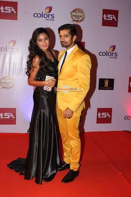 Bolly & TV Celebs at the 'Television Style Awards 2015' in Mumbai
