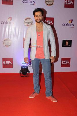Bolly & TV Celebs at the 'Television Style Awards 2015' in Mumbai