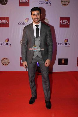 Bolly & TV Celebs at the 'Television Style Awards 2015' in Mumbai