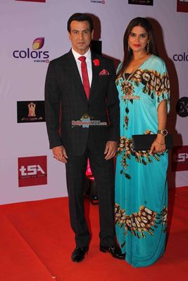 Bolly & TV Celebs at the 'Television Style Awards 2015' in Mumbai