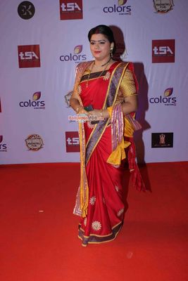 Bolly & TV Celebs at the 'Television Style Awards 2015' in Mumbai