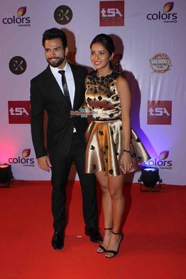 Bolly & TV Celebs at the 'Television Style Awards 2015' in Mumbai