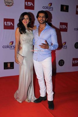Bolly & TV Celebs at the 'Television Style Awards 2015' in Mumbai