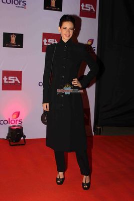 Bolly & TV Celebs at the 'Television Style Awards 2015' in Mumbai