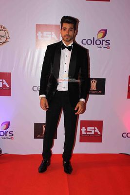 Bolly & TV Celebs at the 'Television Style Awards 2015' in Mumbai