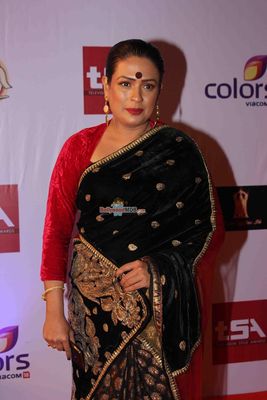 Bolly & TV Celebs at the 'Television Style Awards 2015' in Mumbai