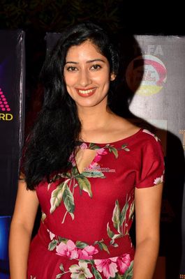 Bollywood Celebs at TIIFA Awards 2015 in Mumbai