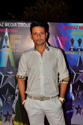 Bollywood Celebs at TIIFA Awards 2015 in Mumbai