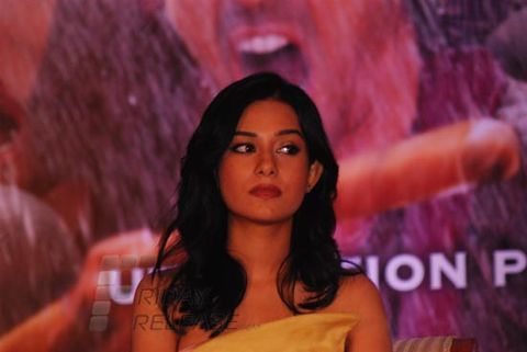 Star cast of the film 'Satyagraha' via video conferencing at the global trailer launch of their film