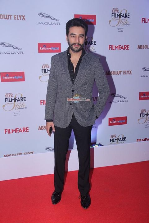 Stars at the Absolut Elyx Filmfare Glamour & Style Awards 2015