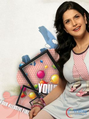 Zarine Khan Photo