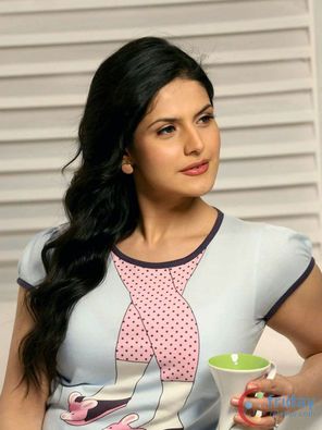 Zarine Khan Photo