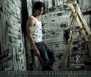 Shahid Kapoor Photo
