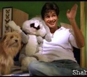 Shahid Kapoor Photo