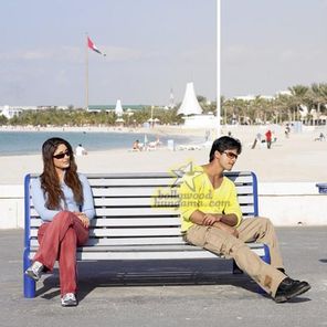 Shahid Kapoor Photo