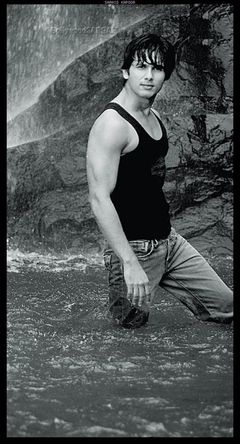 Shahid Kapoor Photo