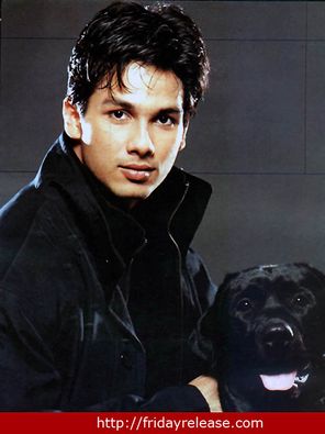 Shahid Kapoor Photo