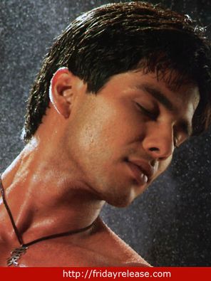 Shahid Kapoor Photo